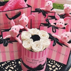 Victoria secret VS PINK beauty skin myster…